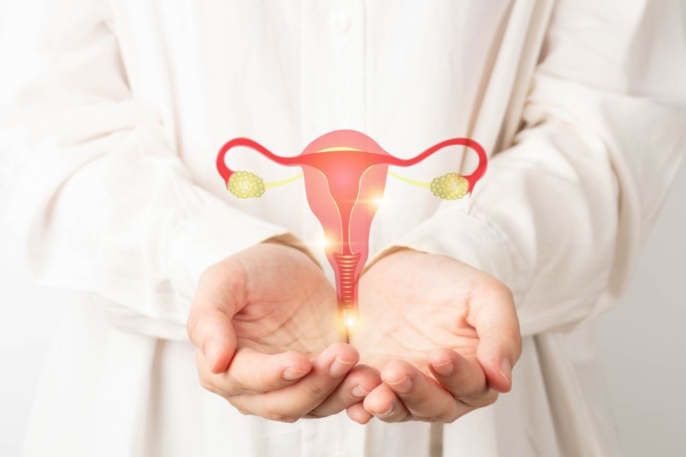 Healthy,Uterus,And,Ovaries,Anatomy,On,Doctor,Hands.,Awareness,Of